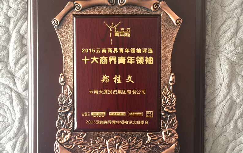 在“互聯(lián)網(wǎng)大時(shí)代”的背景下，天度作為本土很大和很有名的互聯(lián)網(wǎng)服務(wù)企業(yè)，為近萬(wàn)家傳統(tǒng)企業(yè)轉(zhuǎn)型互聯(lián)網(wǎng)+提供了服務(wù)和幫助，獲此獎(jiǎng)項(xiàng)后，我們將再接再厲，創(chuàng)造更高的社會(huì)價(jià)值